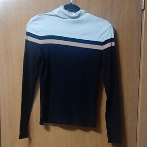 Striped Long Sleeve Turtleneck Top